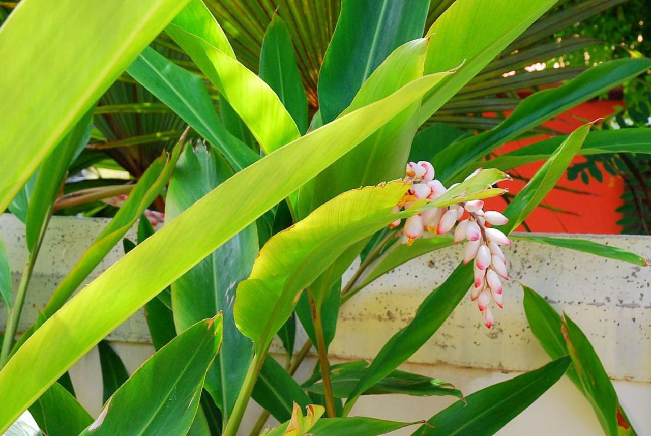 Puerto de la Madera House Sea View Private Garden, 5 People, Optical Fiberヴィラ エクステリア 写真